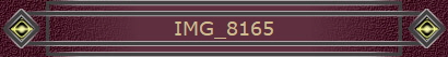 IMG_8165