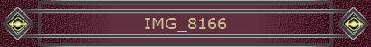 IMG_8166
